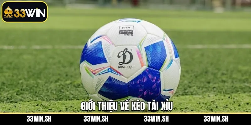 Một vài thông tin cơ bản cần nắm về kèo cược tài xỉu